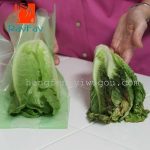 Kantong Plastik Magic Pengawet Buah dan Sayur